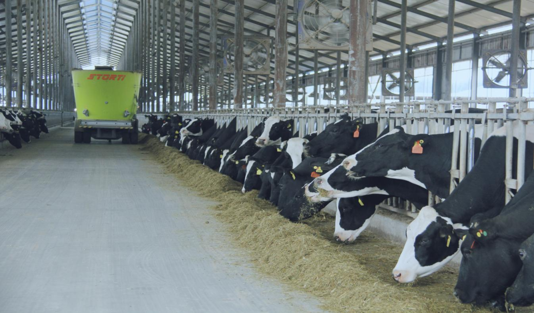 北京大學南南合作與發(fā)展學院教授、全球伙伴關(guān)系主任周詠梅一行蒞臨花花牛平輿瑞亞牧業(yè)參觀調(diào)研