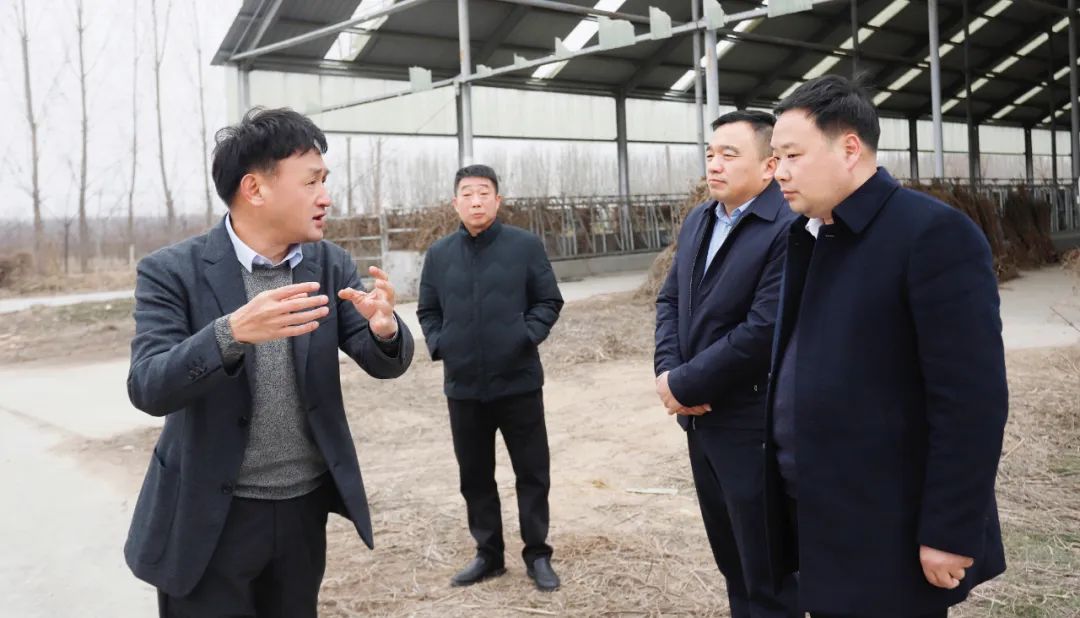 發(fā)揮產(chǎn)業(yè)優(yōu)勢 助力鄉(xiāng)村振興 | 民權(quán)縣委副書記、縣長王靜嫻會見關(guān)曉彥董事長一行