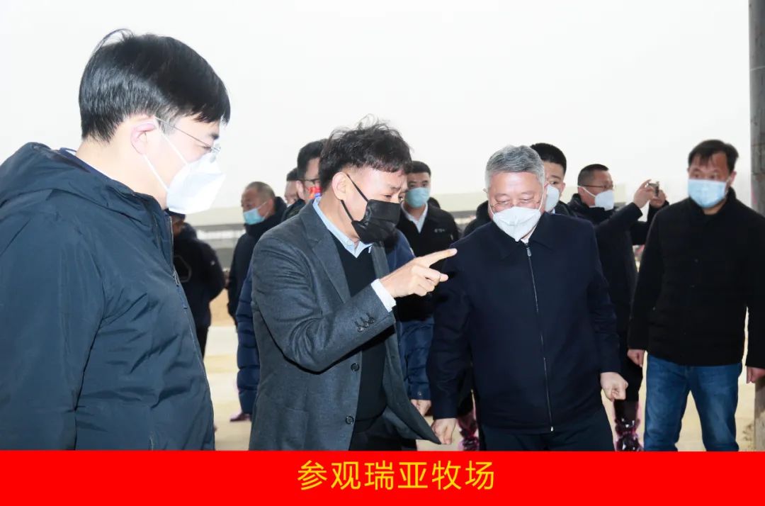 新年開新局 合作促發(fā)展丨佳木斯市委常委、副市長閆志剛一行蒞臨花花牛乳業(yè)集團及佳田企業(yè)考察座談