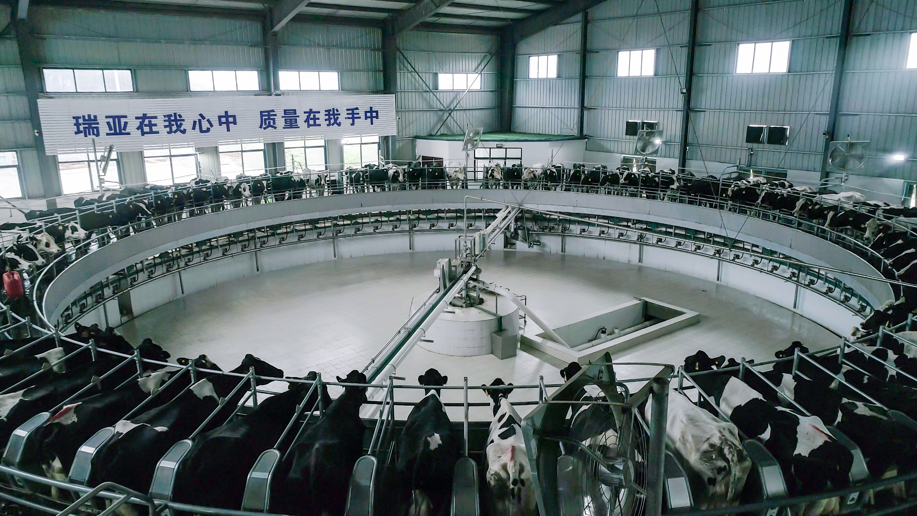 河南省人大常委會(huì)黨組書(shū)記、副主任孔昌生蒞臨花花牛魯山瑞亞牧場(chǎng)參觀調(diào)研