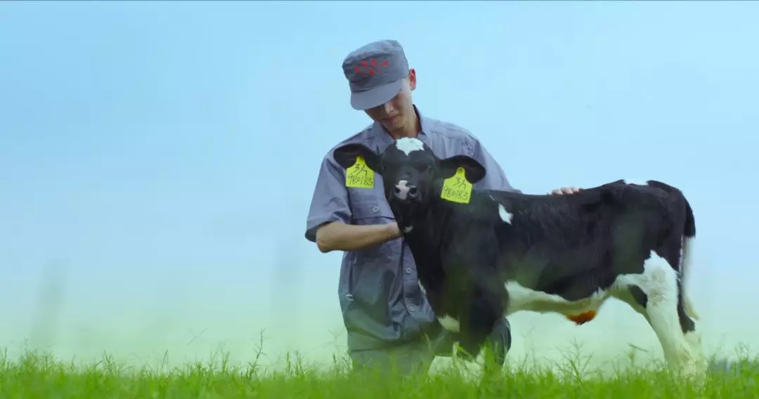 河南省人大常委會(huì)黨組書(shū)記、副主任孔昌生蒞臨花花牛魯山瑞亞牧場(chǎng)參觀調(diào)研