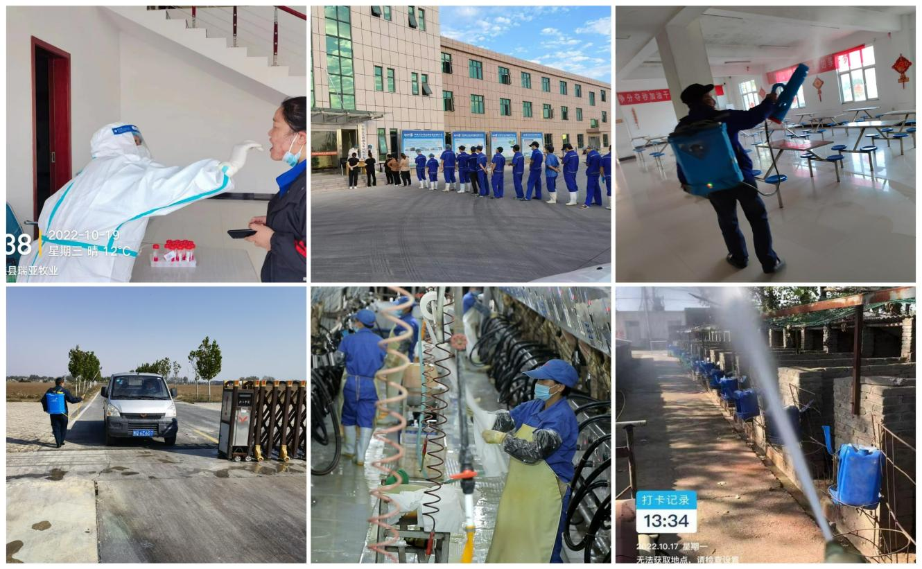 抗疫情、保供應、顯擔當——花花牛在行動?。。? style=