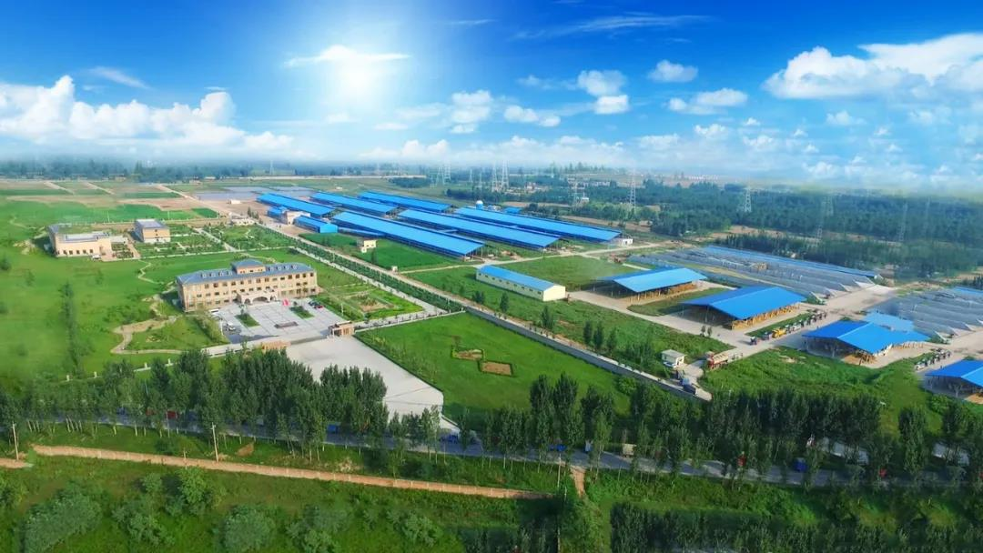 喜訊 | 花花牛一座自有牧場入選河南省“DHI測(cè)定優(yōu)秀牧場”