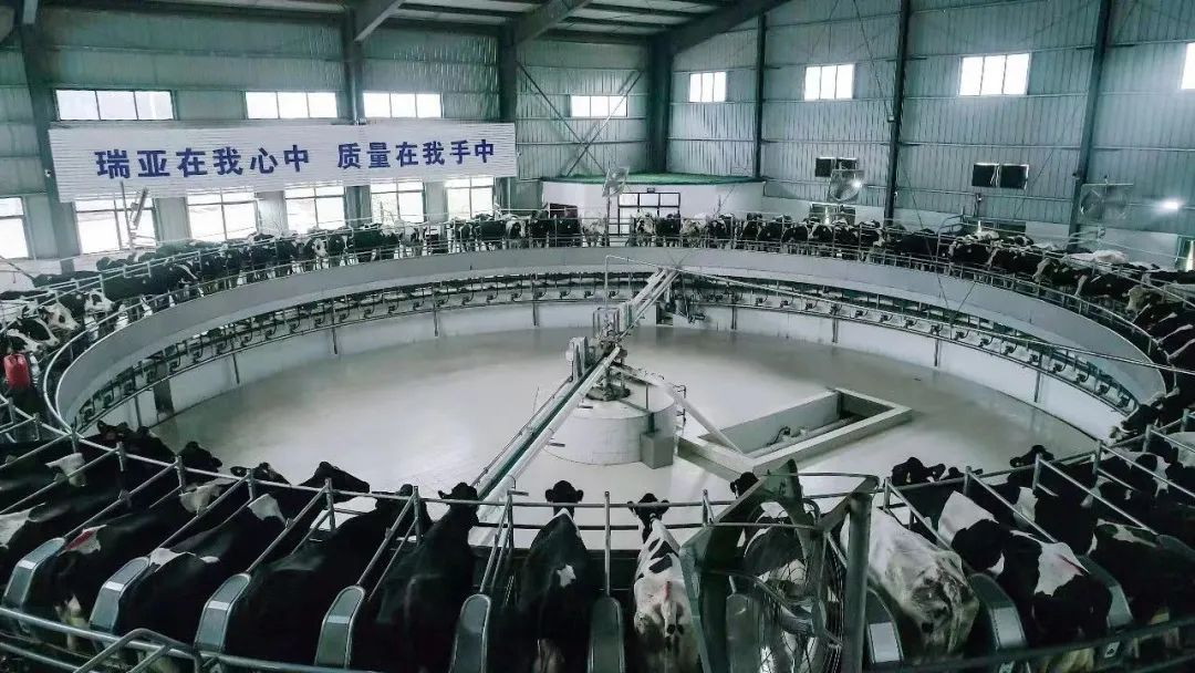 喜訊 | 花花牛一座自有牧場入選河南省“DHI測(cè)定優(yōu)秀牧場”