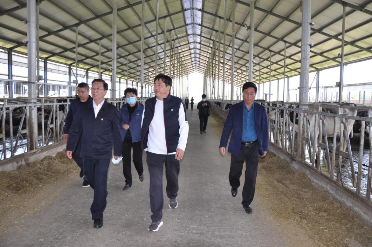 商丘市委常委、宣傳部部長(zhǎng)王全周一行蒞臨睢縣瑞亞牧業(yè)有限公司調(diào)研