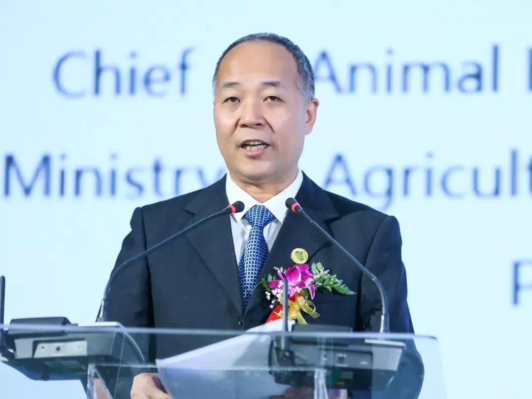 SDDDC走進(jìn)河南，看看花花牛的國際范兒！