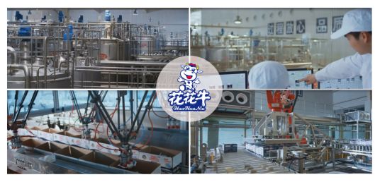 榮獲全國“質(zhì)量月”五項大獎，花花牛真牛！