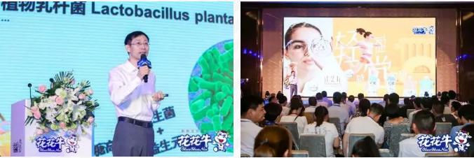 花花牛輕覺(jué)上市暨優(yōu)質(zhì)乳工程認(rèn)證發(fā)布會(huì)，盛大啟幕！