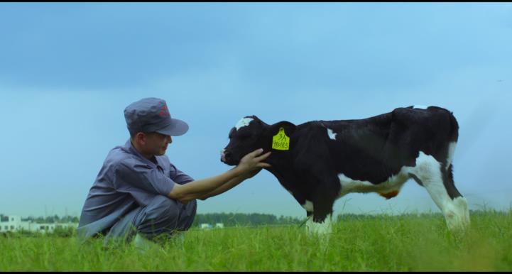 又雙叒叕獲獎啦！花花牛榮獲“乳品質量安全管理 優(yōu)秀企業(yè)”