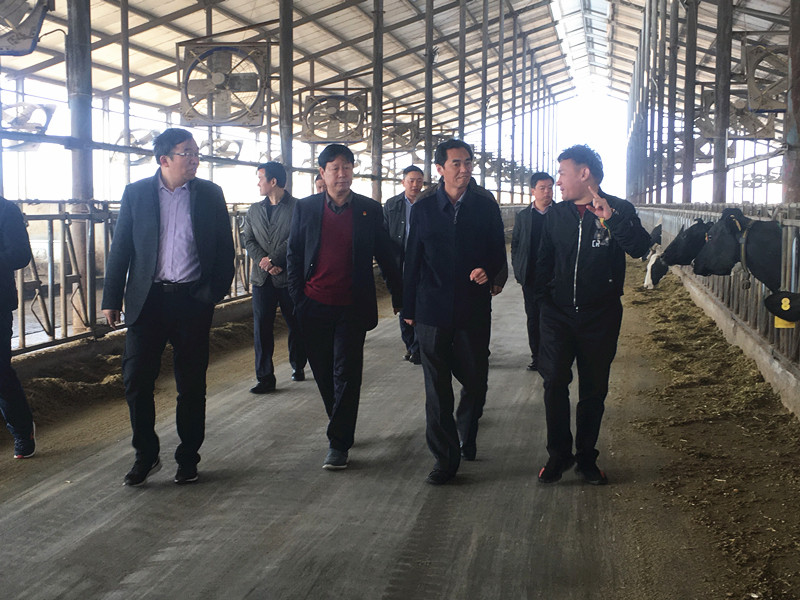 封丘縣縣長王獻臣一行蒞臨 花花牛集團養(yǎng)殖、乳品事業(yè)部參觀調(diào)研
