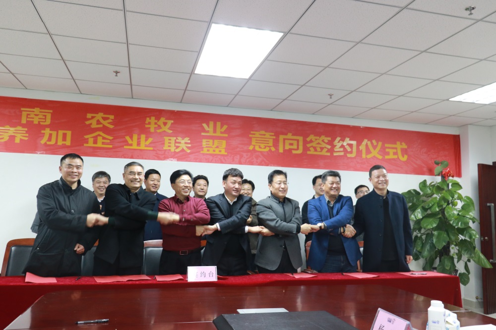 涉農(nóng)企業(yè)強(qiáng)強(qiáng)聯(lián)合，“抱團(tuán)取暖”共迎企業(yè)發(fā)展的春天