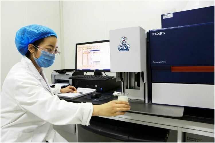 花花牛：務(wù)實(shí)、創(chuàng)新領(lǐng)潮市場(chǎng) 大企業(yè)體現(xiàn)大擔(dān)當(dāng)