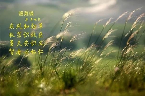花花牛 | 疾風(fēng)來臨，你是不是勁草？